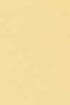 キャラヌノサテン - ゴールド・シルバー248