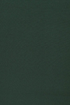 ポリエステルレーヨン 平織 厚手 - グリーン1017