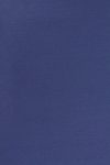 ポリエステルレーヨン 平織 厚手 - ブルー1036