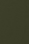 ハギレセット ポリエステルツイル - グリーン91 長さ1.9m 11452
