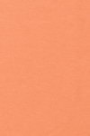 ハギレセット ポリエステルツイル - イエロー・オレンジ4 長さ1.7m 11800