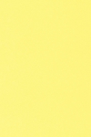 生産余剰品 キャラヌノサテン - イエロー・オレンジ311 長さ3.4m 1661