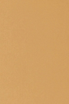 生産余剰品 キャラヌノサテン - ブラウン307 長さ2.3m 1662