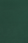 生産余剰品 ポリエステルレーヨン 平織 厚手 - グリーン1033 長さ2.1m 1679