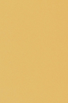 生産余剰品 キャラヌノサテン - ゴールド・シルバー348 長さ3.3m 1922　2分割