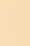 アウトレット生産余剰品 キャラヌノサテン - ゴールド・シルバー253 長さ1.6m 2123