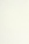 ハギレセット ポリエステルレーヨン 平織 厚手 - モノトーン1003 長さ2.8m 12974