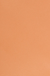 生産余剰品 ドレスサテン - イエロー・オレンジ436 長さ0.8m 2407